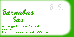 barnabas vas business card